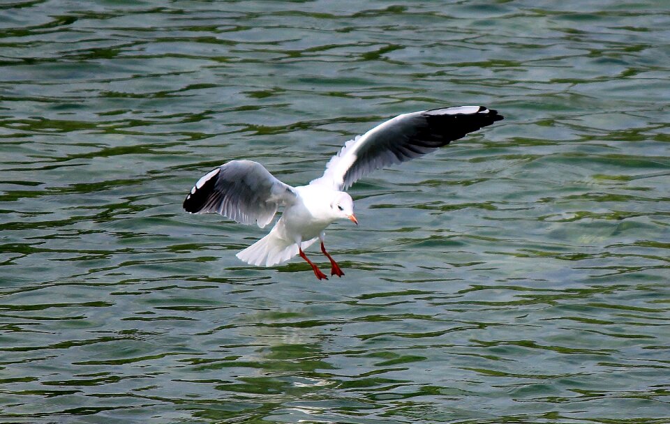 Landing lake mirroring