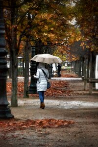 Leaves umbrella rain photo