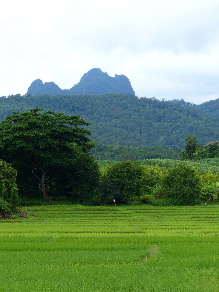 Mountain lampang thailand