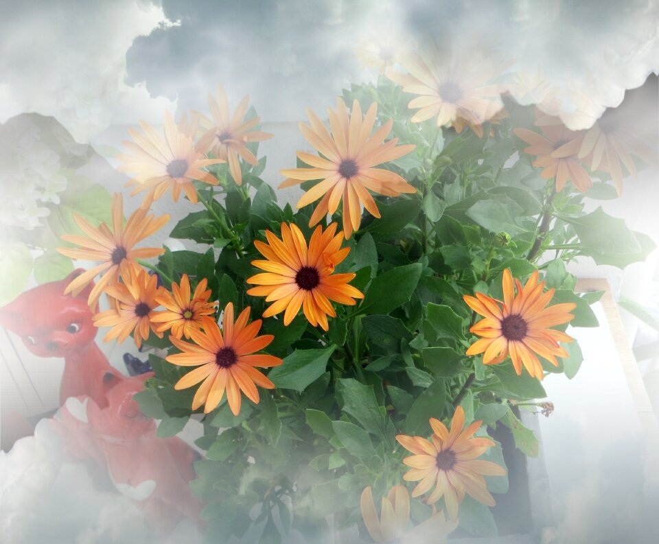 Bouquet flowers orange