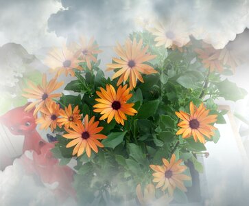 Bouquet flowers orange