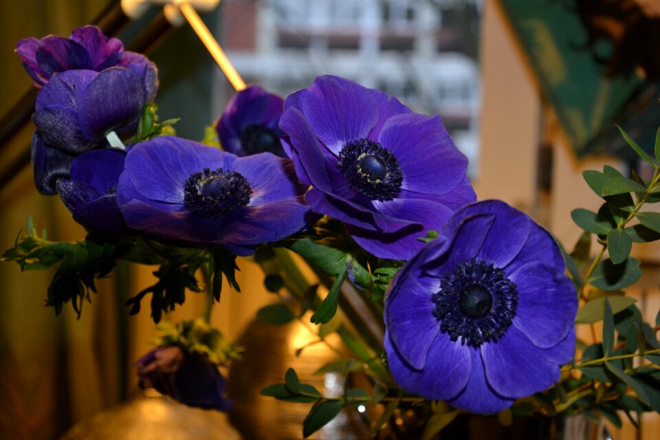 Violet nature vase
