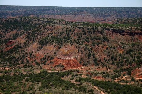 Texas nature southwest photo