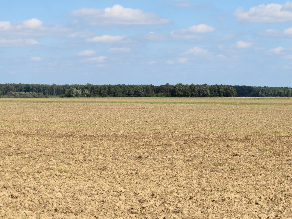 Landscape arable nature