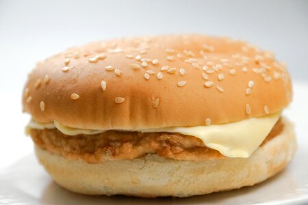Cheeseburger sandwich lunch photo