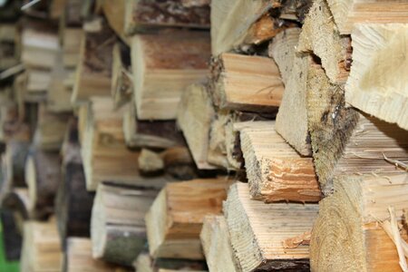 Growing stock timber industry heat photo