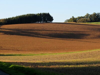 Fields landscape arable