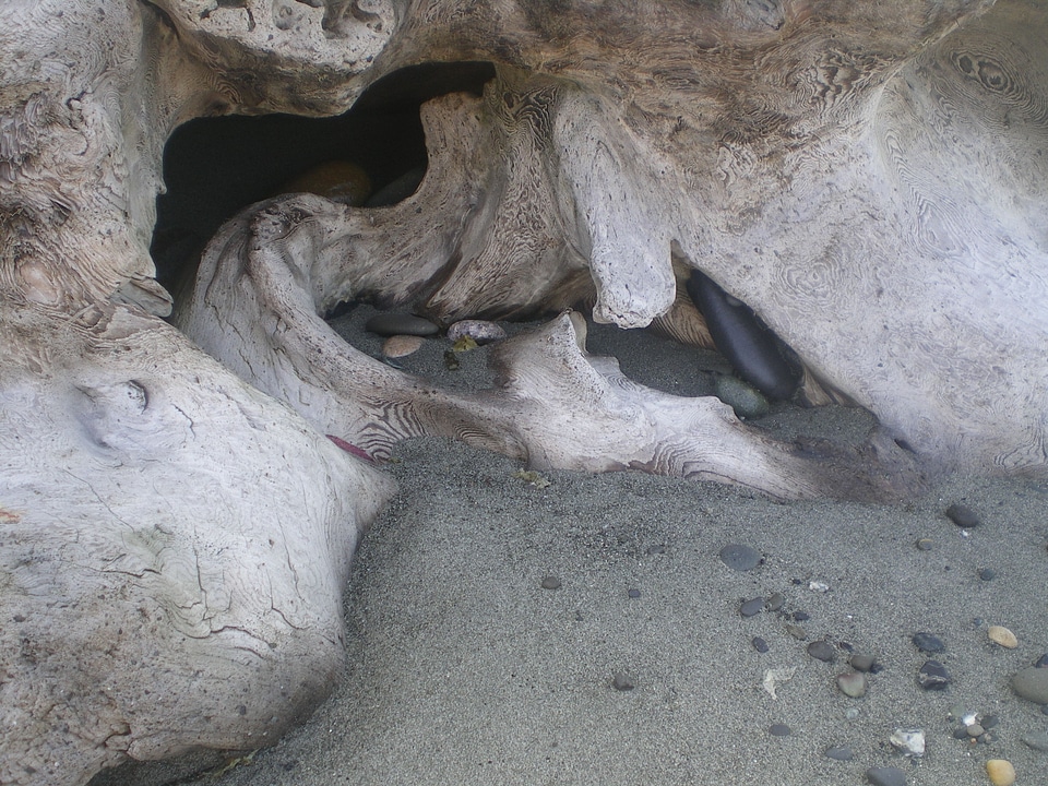 Driftwood drift wood