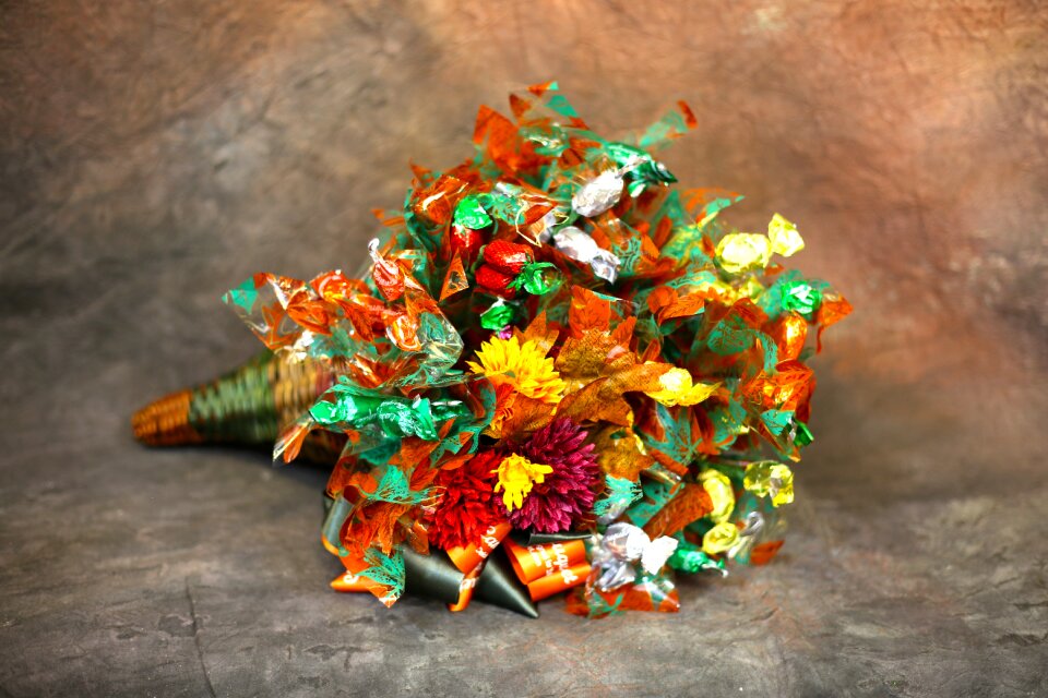 Decoration thanksgiving november