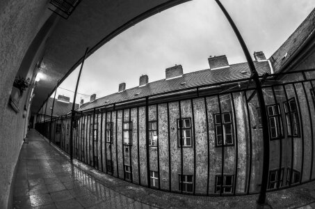 Rain war black and white