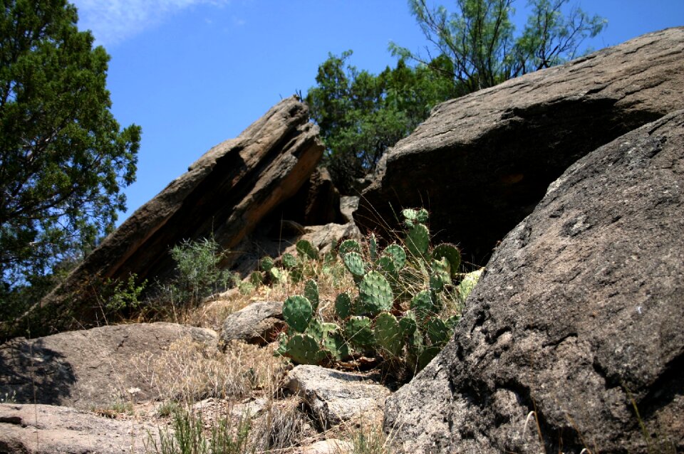Amarillo nature park