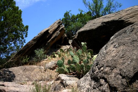 Amarillo nature park