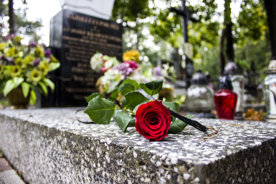 Rose monument cemetery