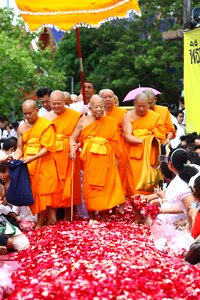 Priests monk orange photo