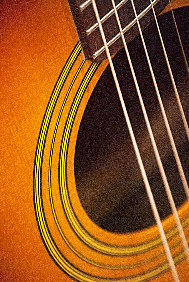 Musical instrument instrument fretboard