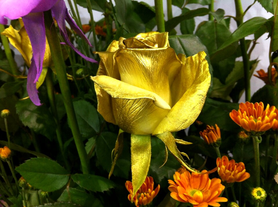 Rose gold gold rose