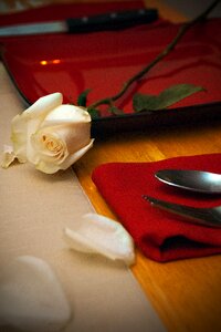 Romantic flower love