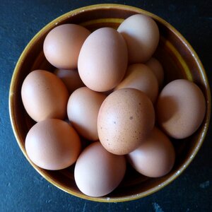 Nutrition chicken product eggshell photo