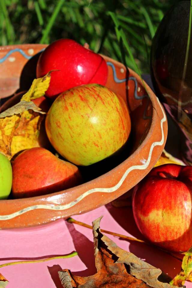 Harvest autumn mood