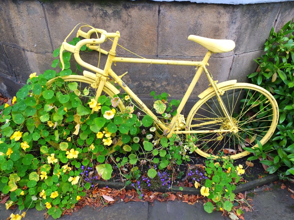 Wheels bike flowers