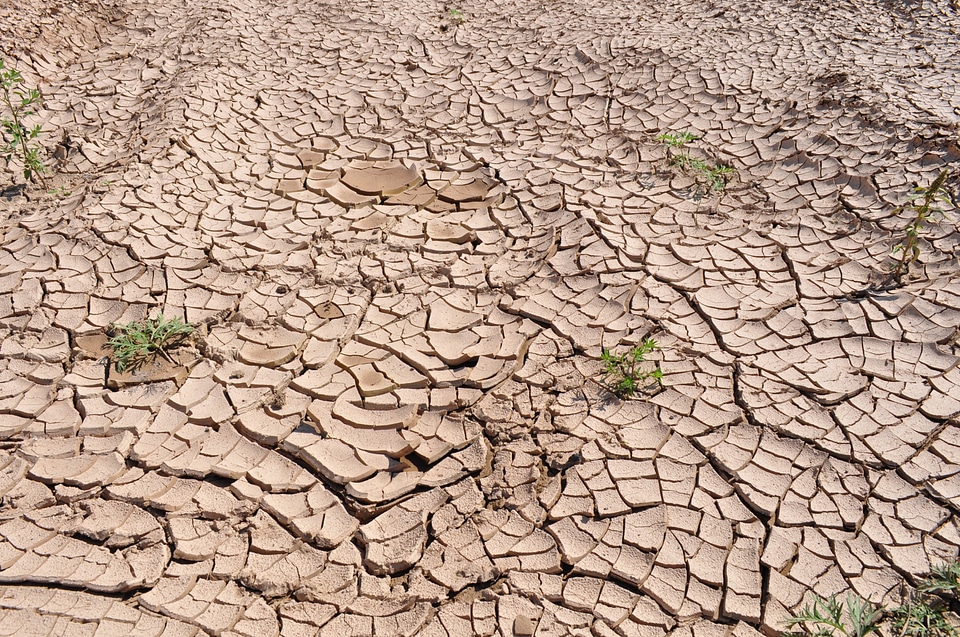 Parched land dry riverbed global warming