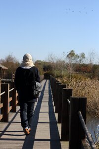 Walking walk autumn
