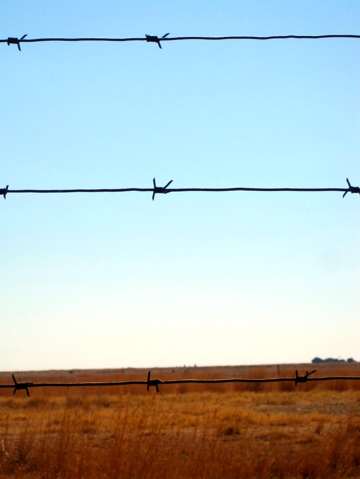 Barbed sharp straight
