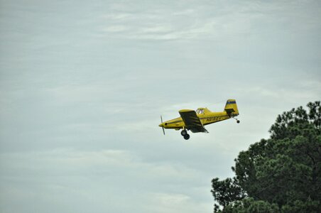 Agriculture yellow blue