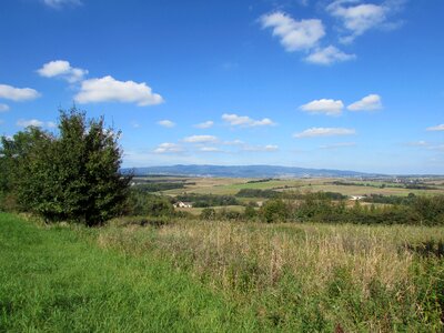 Meadow landscape vision