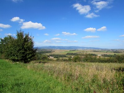 Meadow landscape vision photo