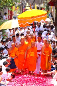 Priests monk orange