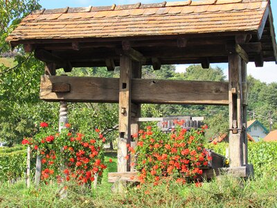 Wine press wood press most press