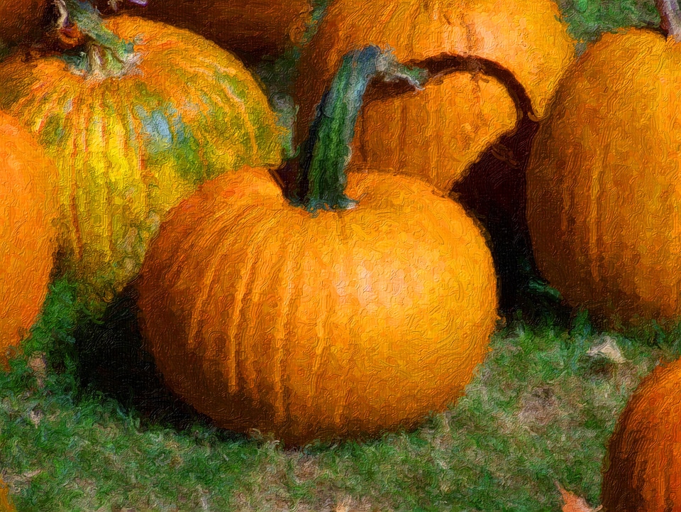 Autumn seasonal orange