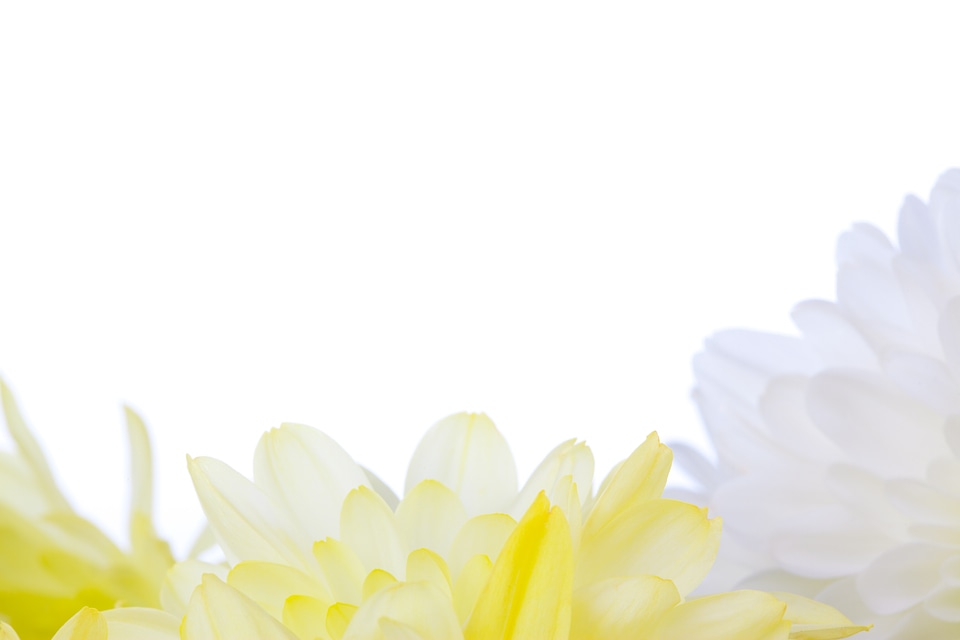 Bright decorative floral