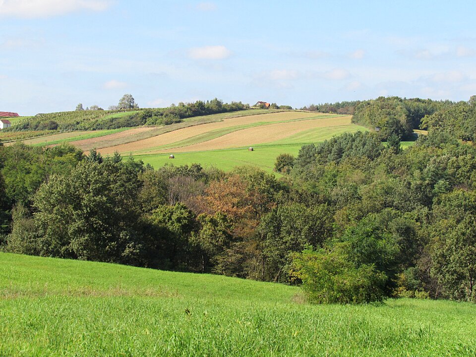 Landscape nature outlook