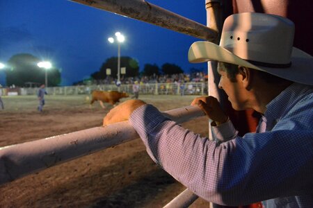 American western horse photo