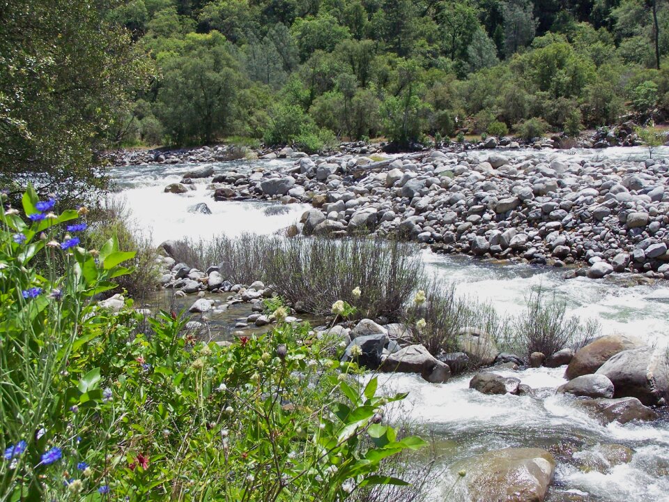 Landscape natural creek photo