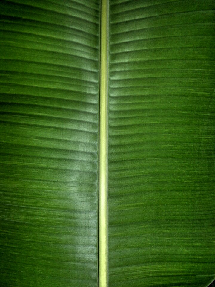 Nature fresh natural