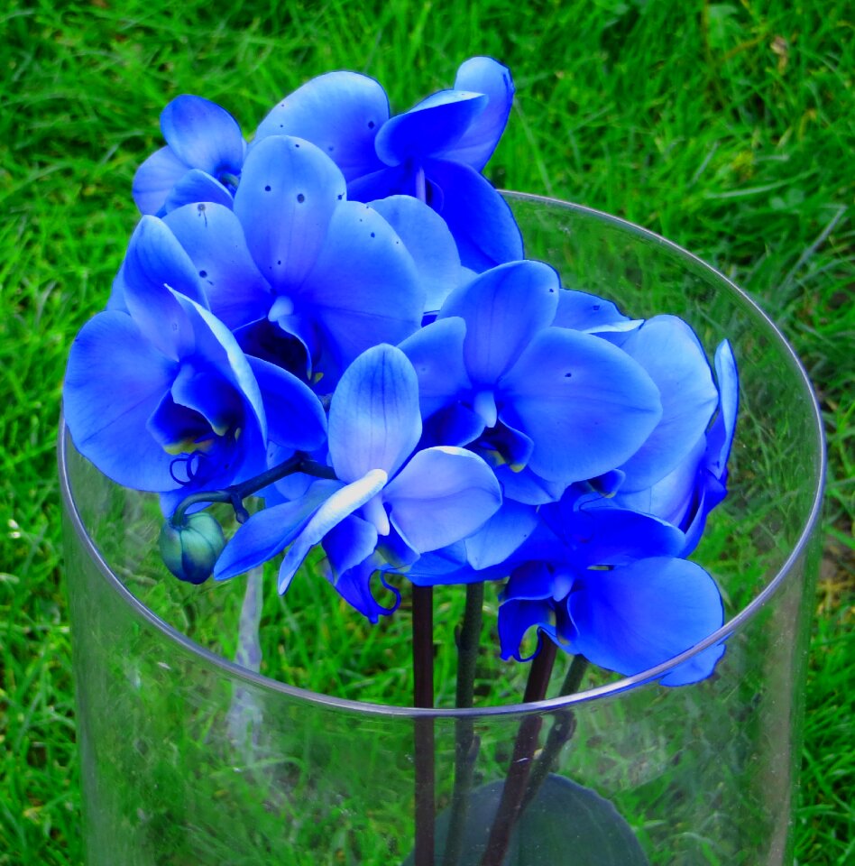 Colorful plant vase