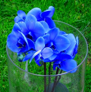 Colorful plant vase