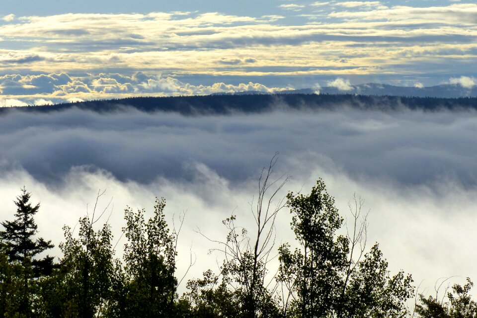 Sky nature fog covered