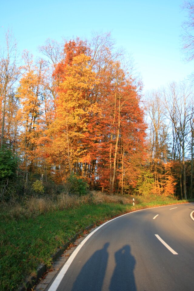 Road colorful asphalt