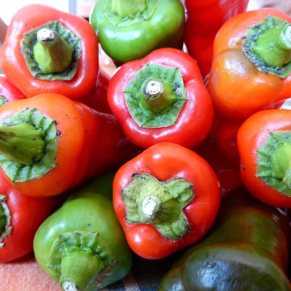 Green vegetables food photo