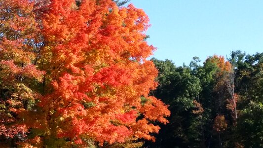 Outdoor autumn colorful