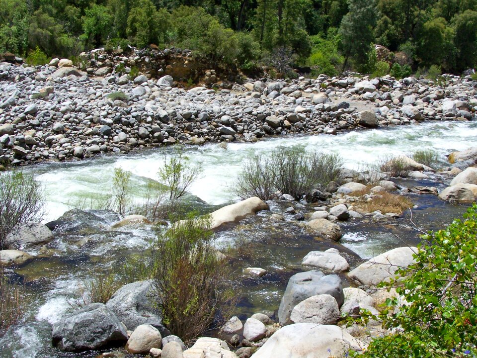 Landscape natural creek