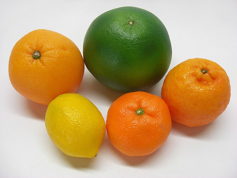 Citrus fruits sweetie