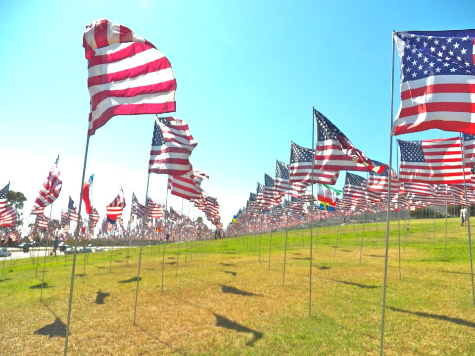 American usa national