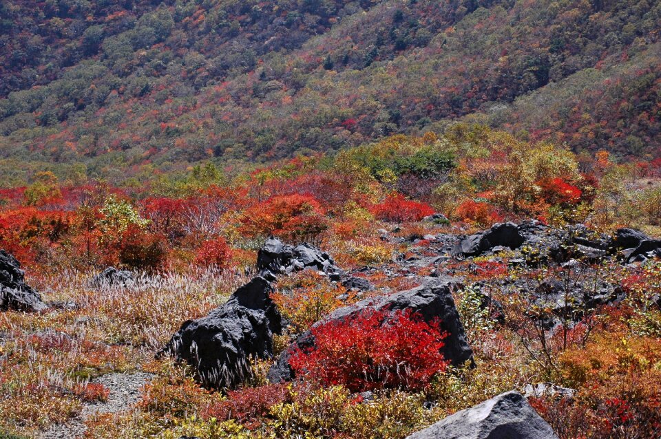 Landscape valley rock