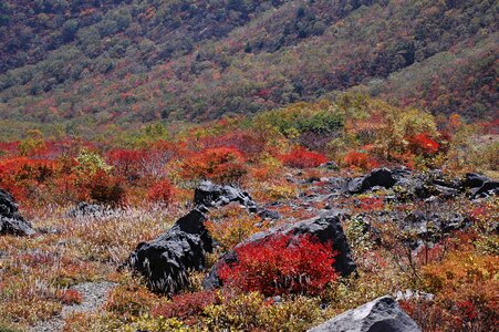 Landscape valley rock photo