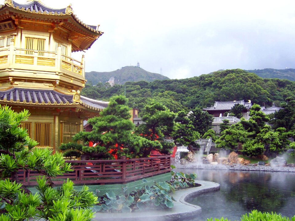Asia tree landscapes